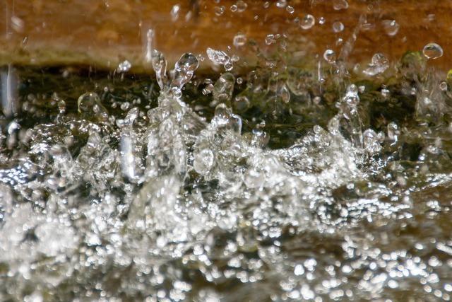 Bauernverband fr effizientere Prfung von Trinkwasser aus Quellen im Hochschwarzwald