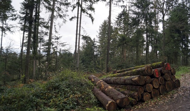 Der Wald beschert  Badenweiler einen Gewinn.   | Foto: Silke Hartenstein