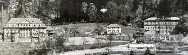 Das  Thaeder-Haus (links) und das Brklin-Schauenburg-Haus  | Foto: Stadtarchiv