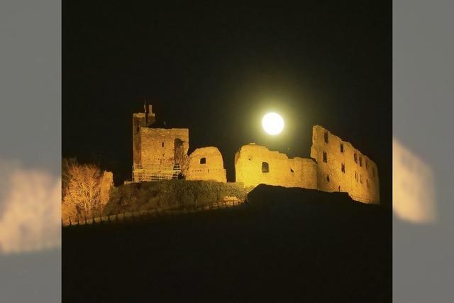 Der Mond passt einfach berall dazu