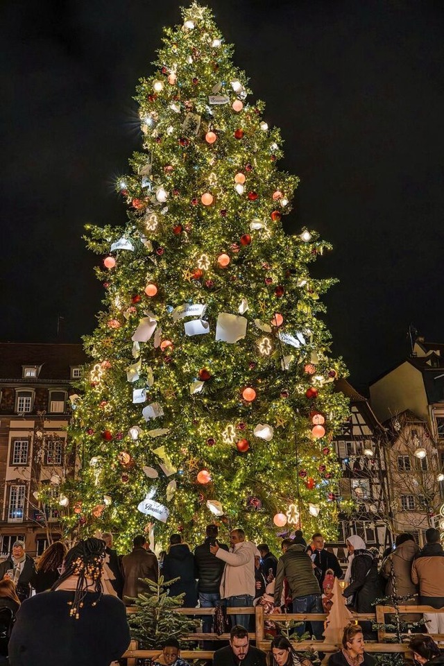 Sieht schn aus, finden aber nicht alle: Tannenbaum auf dem Kleberplatz.  | Foto: Anne Telw