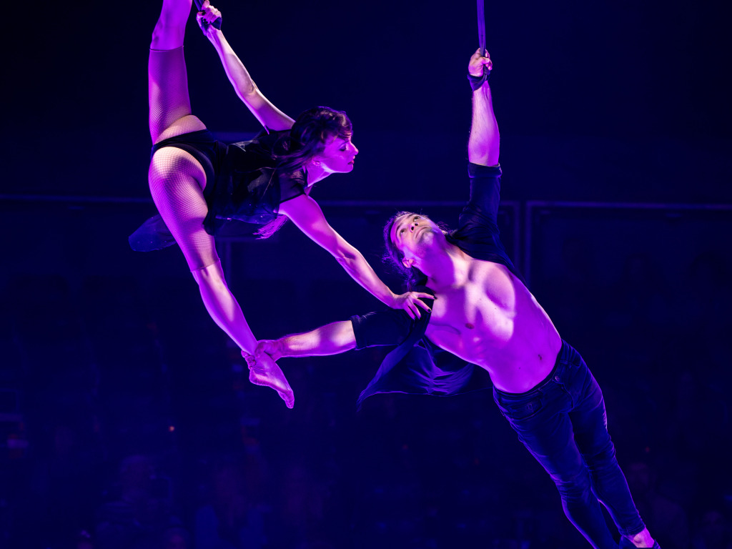 Der Weihnachtszirkus Circolo in Freiburg