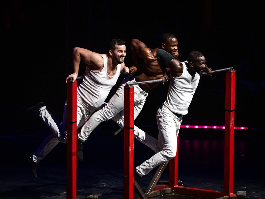 Der Weihnachtszirkus Circolo in Freiburg