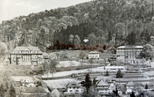 Das  Thaeder-Haus (links) und das Brklin-Schauenburg-Haus  | Foto: Stadtarchiv