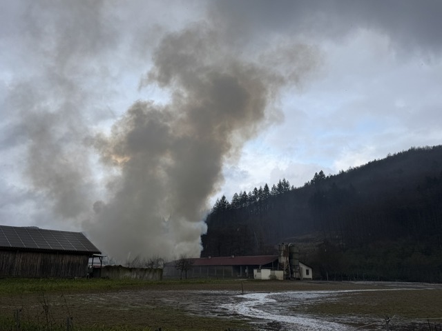 Die Rauchsule war weithin sichtbar.  | Foto: Monika Weber