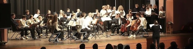 Fr Chorsngerinnen und -snger blieb ...lkpfigen Orchesters nicht viel Platz.  | Foto: Waldorfschule Offenburg