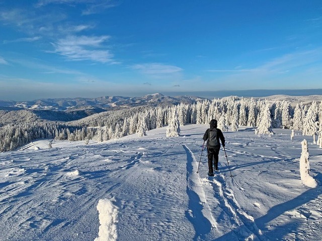 Winterzauber im Schwarzwald:  Schnee, ... und Sonnenschein locken in die Natur.  | Foto: stock.adobe.com