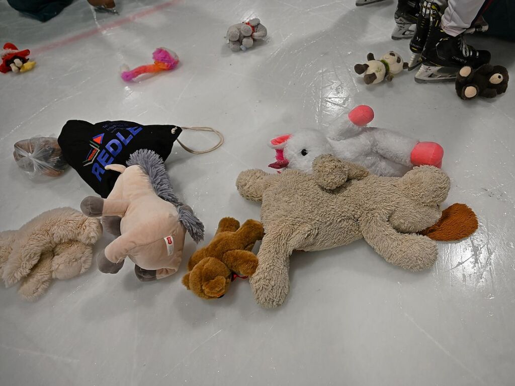 Kuscheltiere fast ohne Ende: Beim Teddy Bear Toss des EHC Freiburg gab es dieses Jahr einen neuen Rekord.