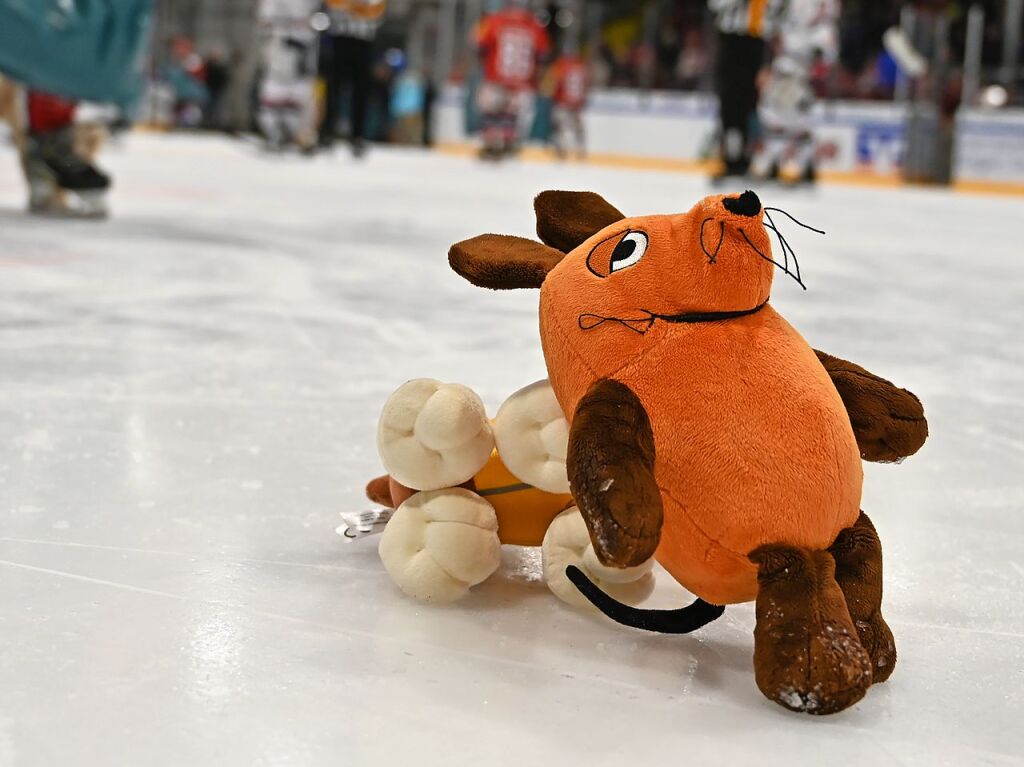 Kuscheltiere fast ohne Ende: Beim Teddy Bear Toss des EHC Freiburg gab es dieses Jahr einen neuen Rekord.