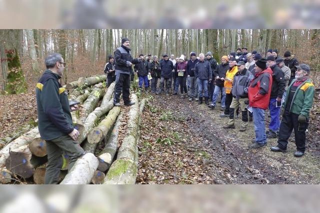 Zahlreiche Interessenten bei Holzversteigerung