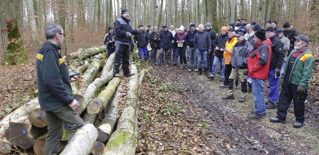 Revierfrster Gerhard Schwab (links) u...n die Holzversteigerung in Welmlingen.  | Foto: Rolf Mck