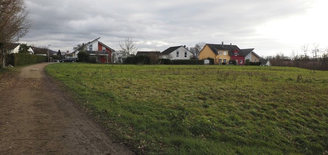 Das knftige Baugebiet am nordwestlich...eutacker (links auerhalb des Bildes).  | Foto: Herbert Frey