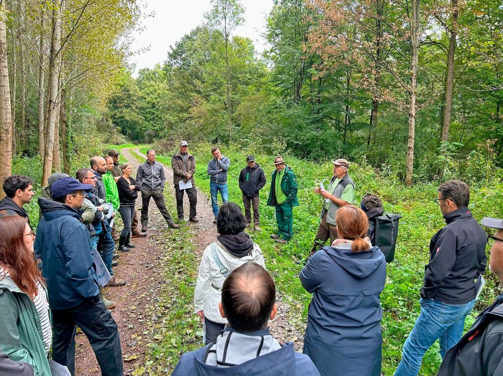 Oktober: Gemeinde- und Ortschaftsrte aus Schwanau haben den Gemeindewald  besichtigt. Dabei wurde klar: Der Umbau in einen klimaresistenten Forst ist nicht einfach.