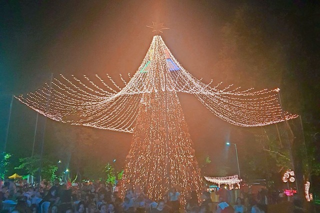 Zahlreiche Lichterketten sind in Paraguay beliebter Weihnachtsschmuck.  | Foto: Hannah Seifert