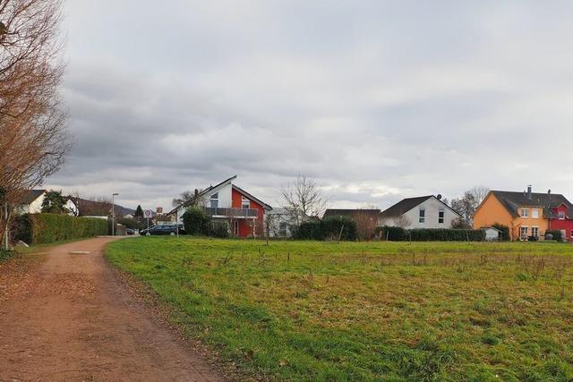 Nach fnf Jahren gibt es grnes Licht fr das Neubaugebiet Malzholzweg in Eimeldingen