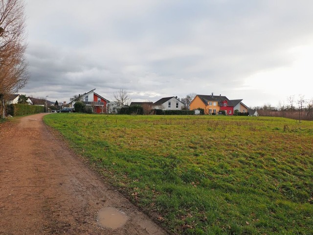 Das knftige Baugebiet am nordwestlich...eutacker (links auerhalb des Bildes).  | Foto: Herbert Frey