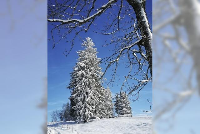 Sonnenschein im Schnee