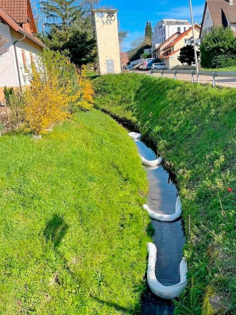 Mrz: Nachdem in Oberschopfheim 1000 Liter Heizl in den Dorfbach gelaufen waren, drohte ein Fischsterben. Mehrere lsperren im Dorfbach verhinderten Schlimmeres.