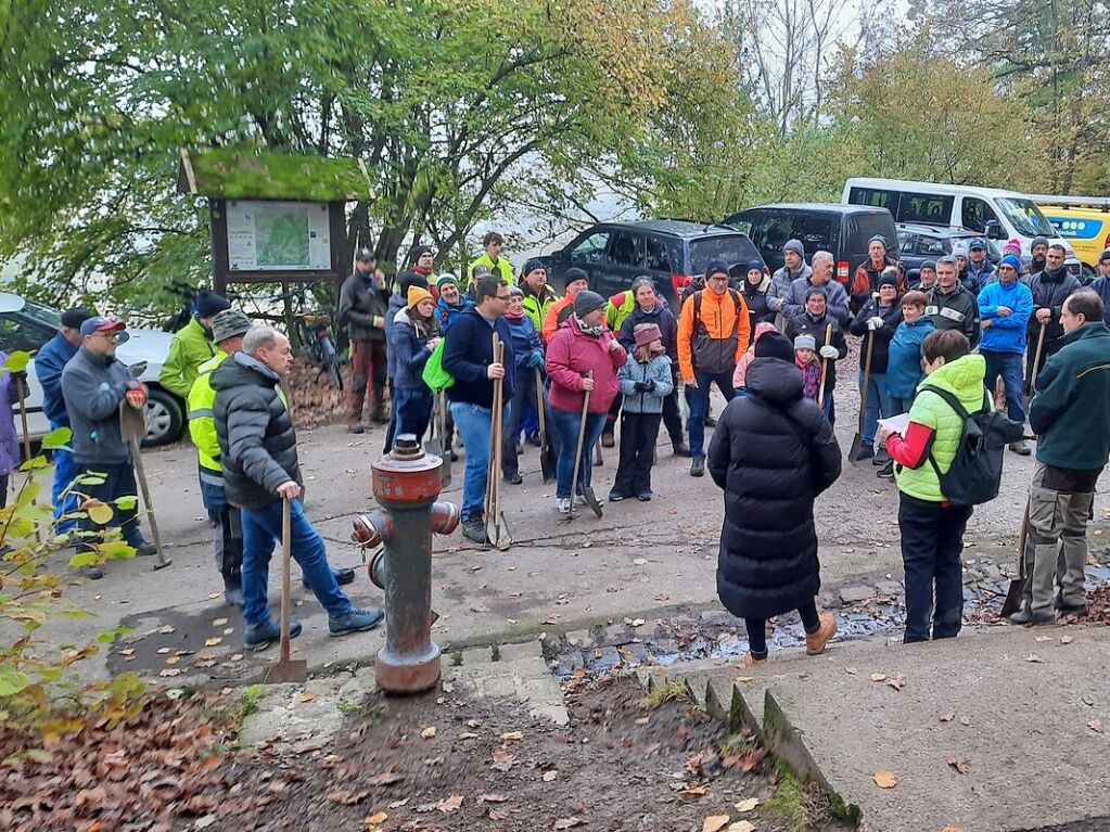 November: Bei der Baumpflanzaktion im Friesenheimer Gemeindewald packen viele Helferinnen und Helfer mit an.