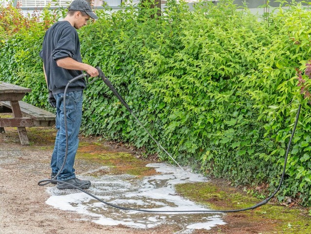 Superkolonien von Tapinoma Magnum werden in Kehl mit Heiwasser eingedmmt.  | Foto: Annette Lipowsky (dpa)