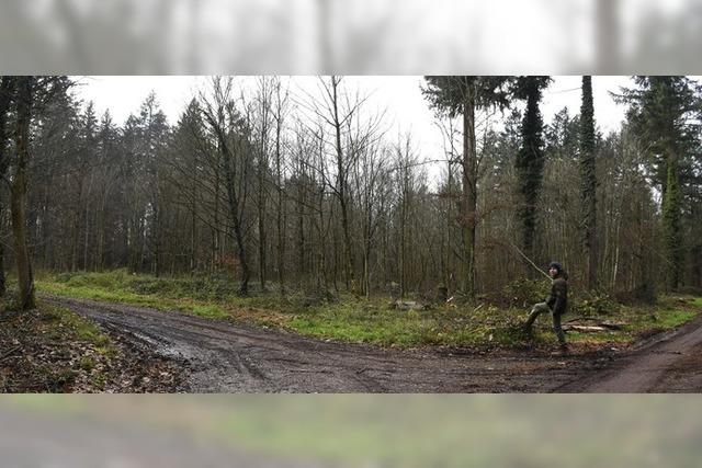 Ein verheerender Tag fr den Wald