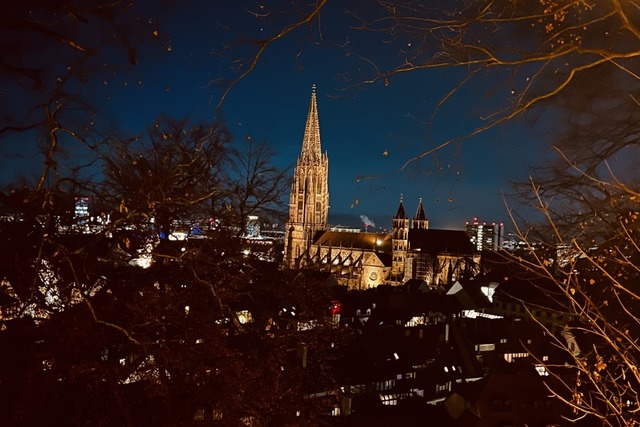 Das Freiburger Mnster am Abend.  | Foto: Claus Schlicker