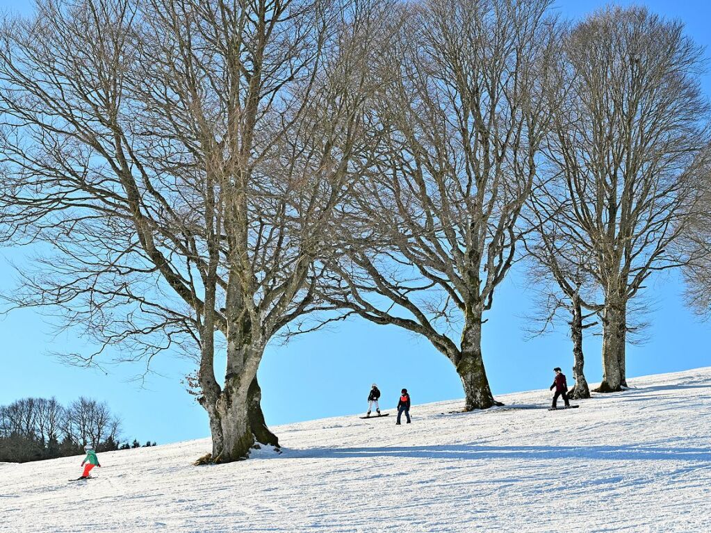 Bei schnstem Wetter und Schnee zog es am Samstag einige Freiburgerinnen und Freiburger auf den Schauinsland.