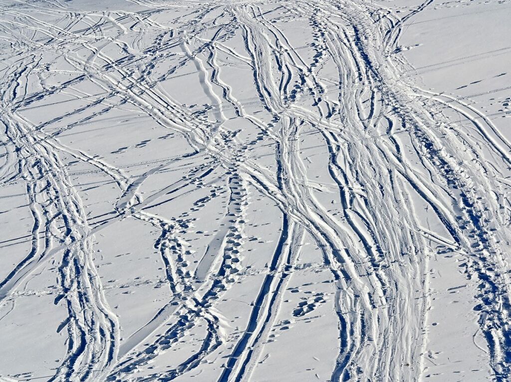 Bei schnstem Wetter und Schnee zog es am Samstag einige Freiburgerinnen und Freiburger auf den Schauinsland.