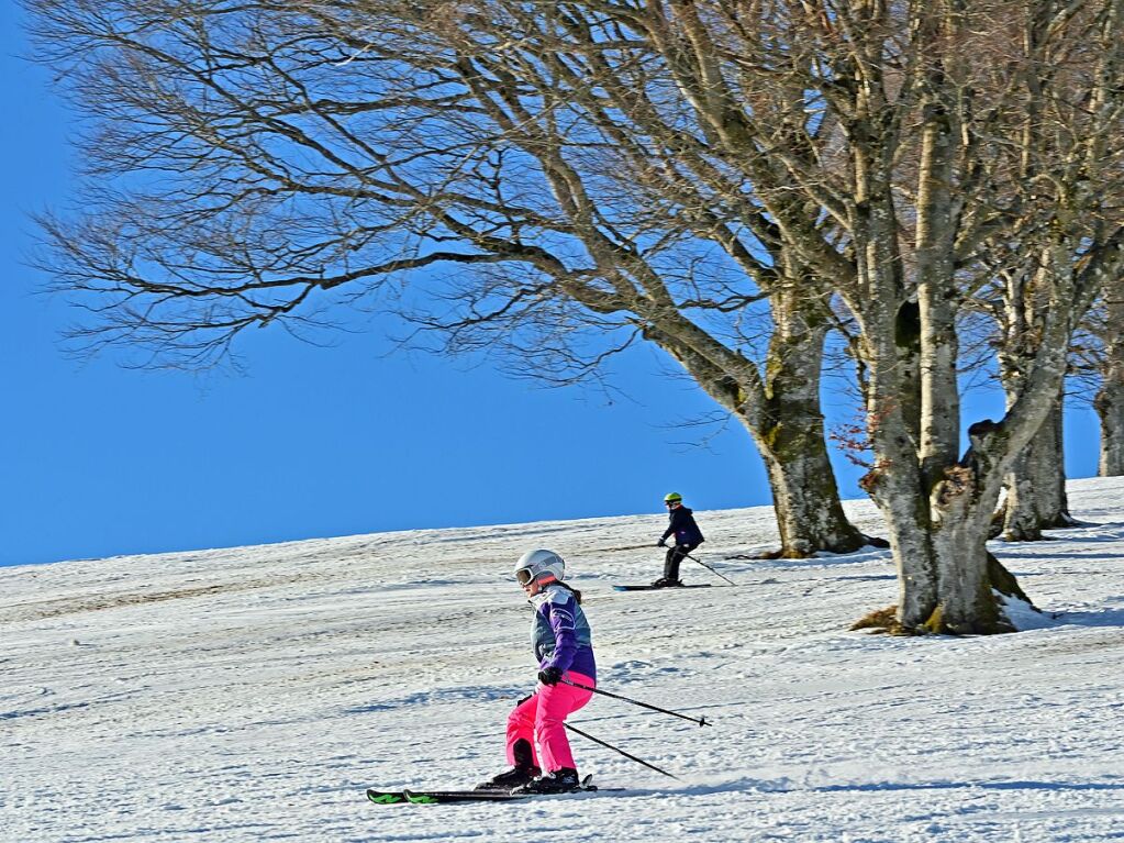 Bei schnstem Wetter und Schnee zog es am Samstag einige Freiburgerinnen und Freiburger auf den Schauinsland.