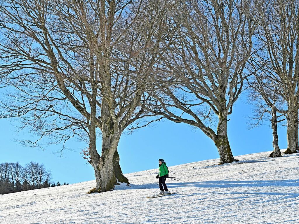 Bei schnstem Wetter und Schnee zog es am Samstag einige Freiburgerinnen und Freiburger auf den Schauinsland.