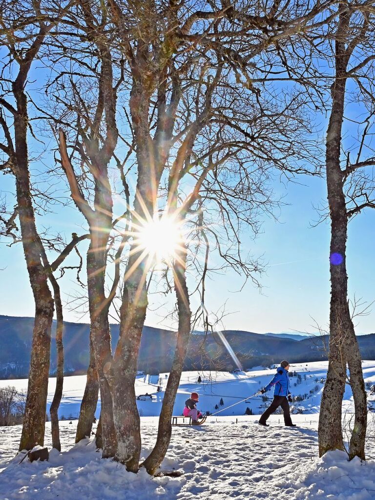 Die Sonne glitzert mit dem Schnee um die Wette.