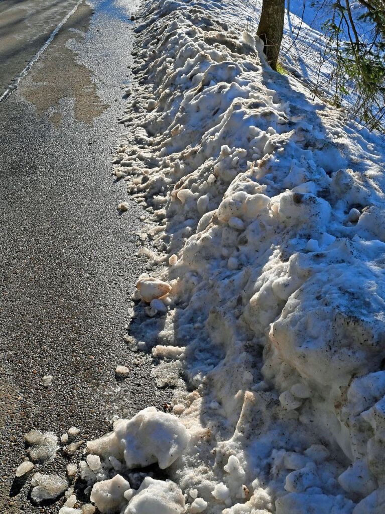 Bei schnstem Wetter und Schnee zog es am Samstag einige Freiburgerinnen und Freiburger auf den Schauinsland.