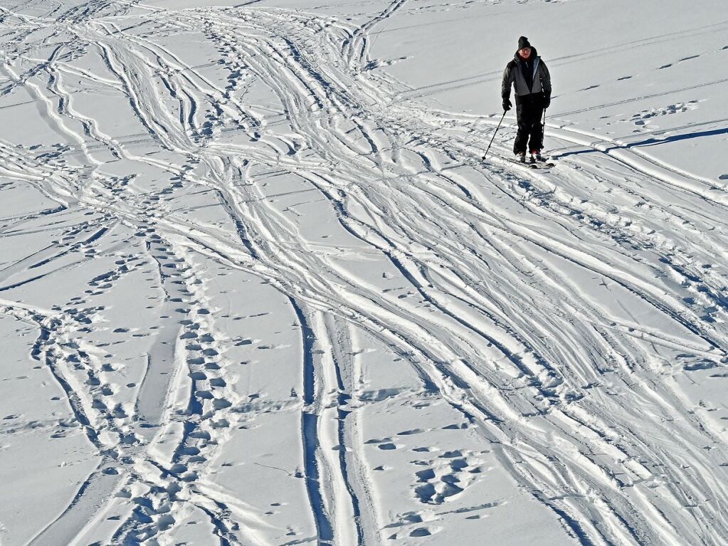 Schlitten, Ski und Fe pflgten sich durch die Schneedecke.