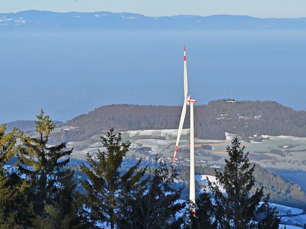 Bei schnstem Wetter und Schnee zog es am Samstag einige Freiburgerinnen und Freiburger auf den Schauinsland.