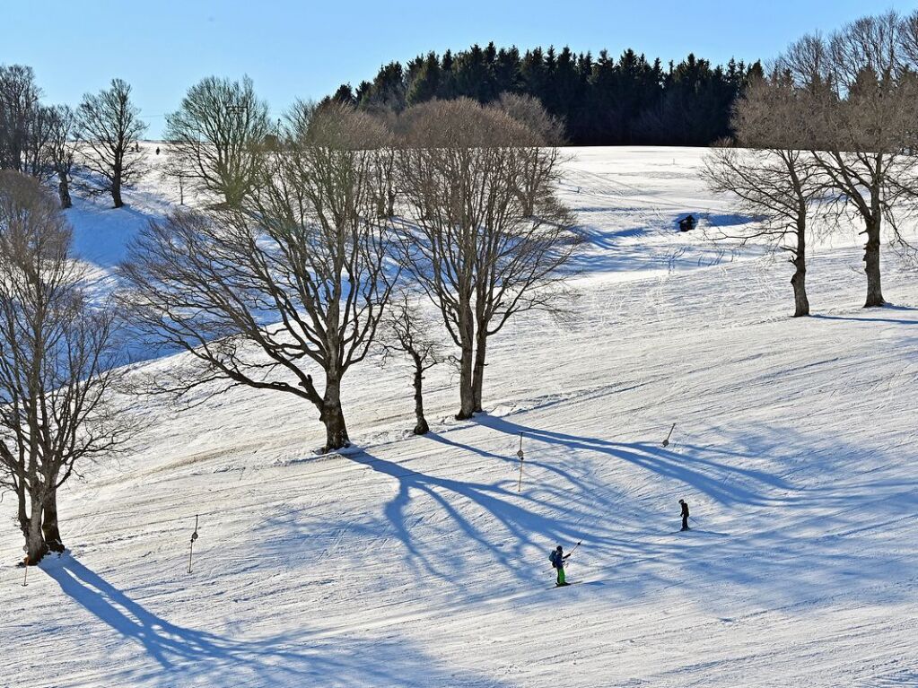 Bei schnstem Wetter und Schnee zog es am Samstag einige Freiburgerinnen und Freiburger auf den Schauinsland.