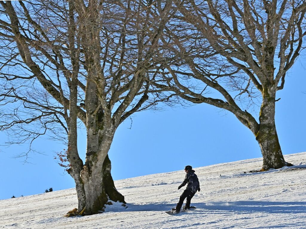 Bei schnstem Wetter und Schnee zog es am Samstag einige Freiburgerinnen und Freiburger auf den Schauinsland.