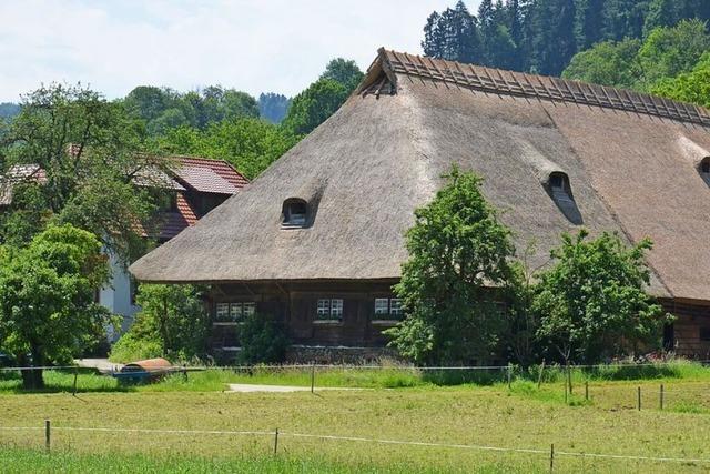 Den historischen Flammhof in Glottertal schmckt ein neues Reetdach