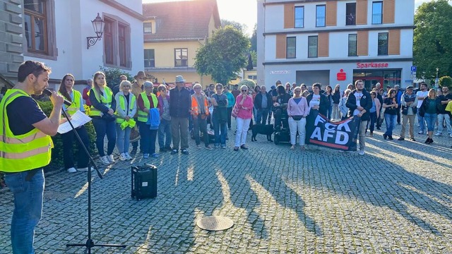 Mehrere Mahnwachen zur Wahrung der Dem... und Vielfalt finden in Schnau statt.  | Foto: Hartmut Schwbl