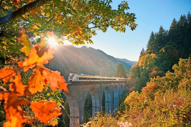 Die Hllentalbahn bringt Besucherinnen...burg ins Biosphrengebiet Schwarzwald.  | Foto: Jens Wegener