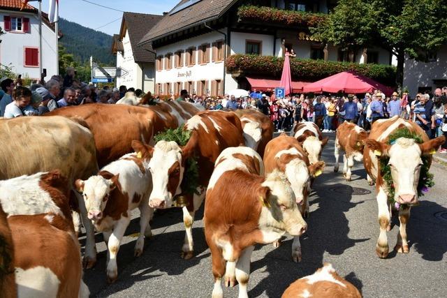 So war das Jahr in Simonswald