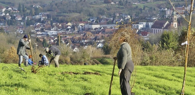 Mitglieder der Nabu-Ortsgruppe bei Arbeiten auf dem Grundstck  | Foto: Nabu