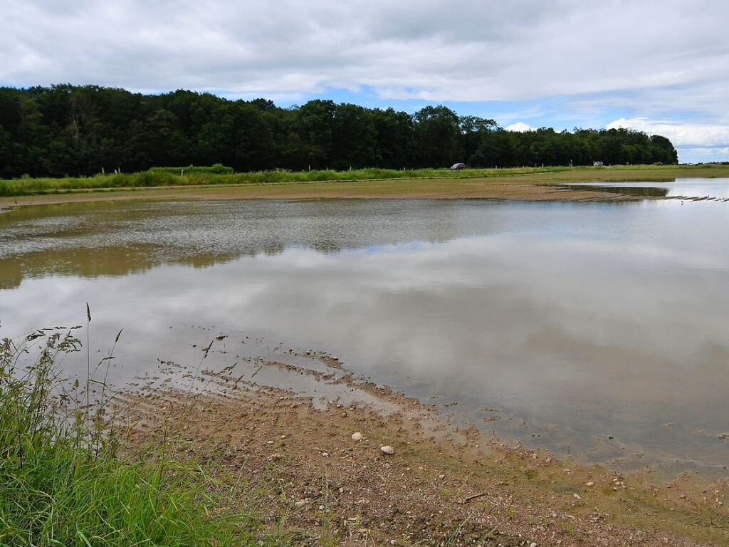 Juni: Hochwasser auf einem Acker bei Ichenheim