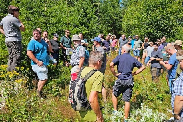 Windkraft, Busbahnhof und Kommunalwahl waren die Themen 2024 in Todtnau