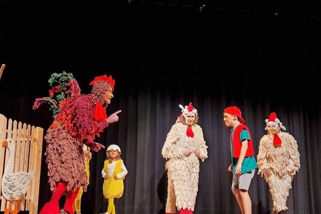 Theater in Breitnau fhrt in die kleine Welt des Nils Holgersson