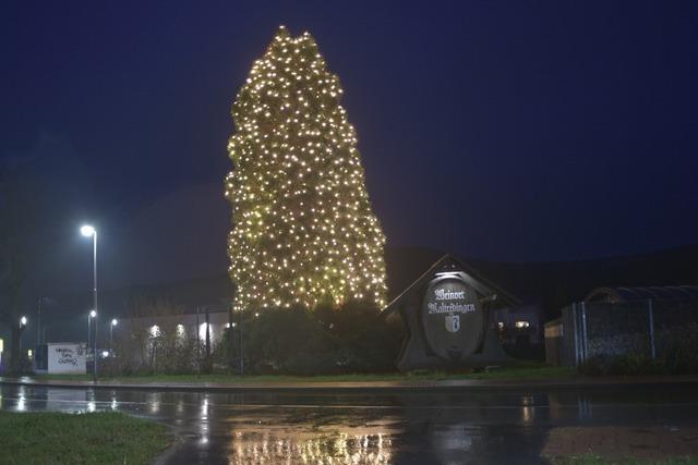 An diesen Tagen werden im Kreis Emmendingen die Christbume abgeholt