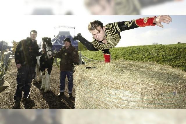 Noch ist der Zirkus in der Stadt