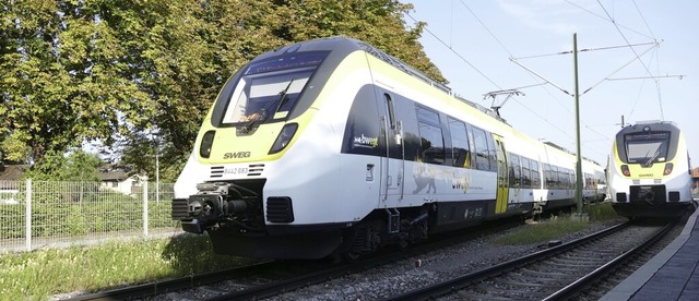 Die Mnstertalbahn sorgte anfangs fr ...initiative erwies sich als hartnckig.  | Foto: Andrea Drescher