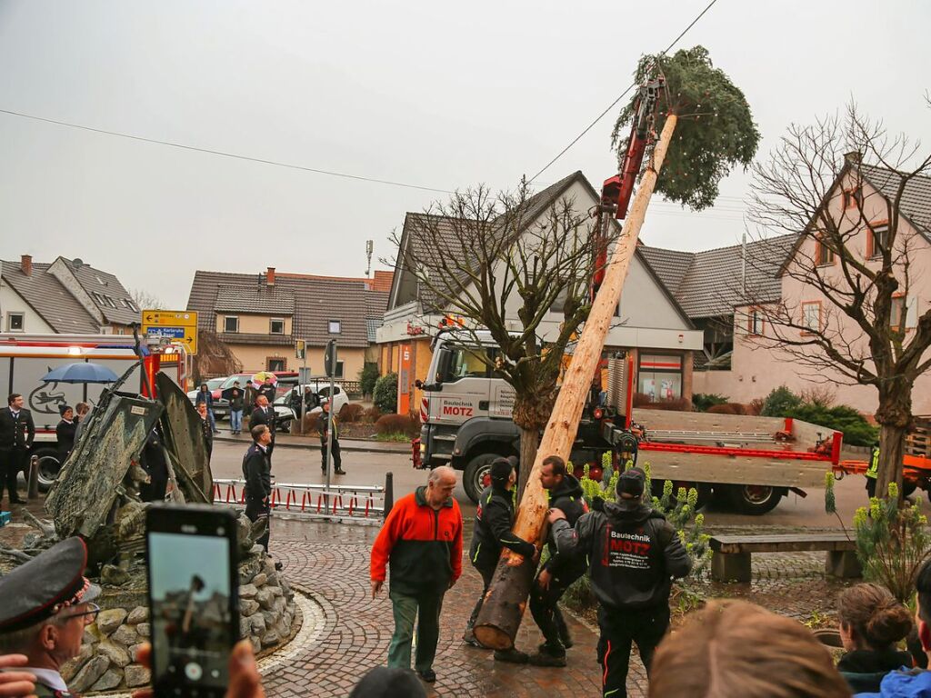 Mrz: Die Brgermeistertanne fr Philipp Klotz wird gestellt.