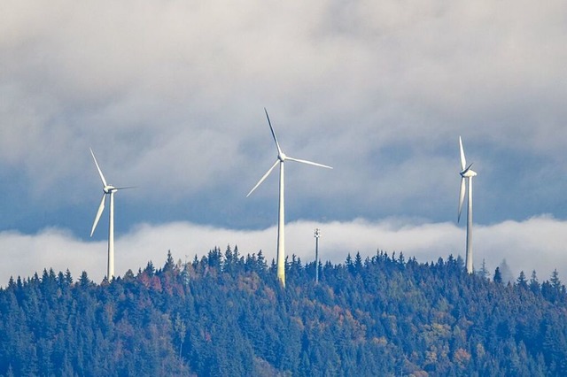 In Herrischried hat sich eine Brgerin...en Bau von Windrdern verhindern will.  | Foto: Patrick Seeger