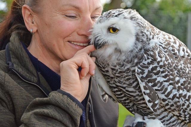 Tanja Beisert von der Falknerei im Naturzentrum Rust blickt auf ein turbulentes Jahr